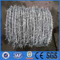 Barbed wire coil for boundary security
